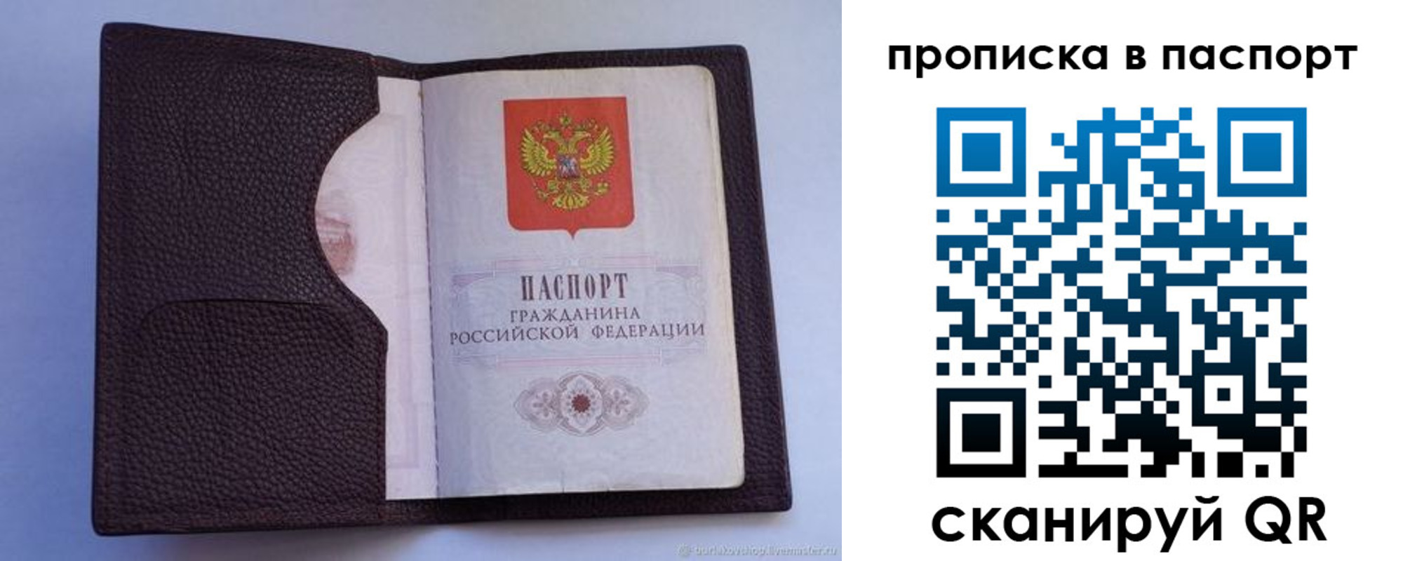 прописка законно в Сельцо